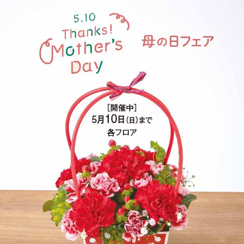 母の日フェア